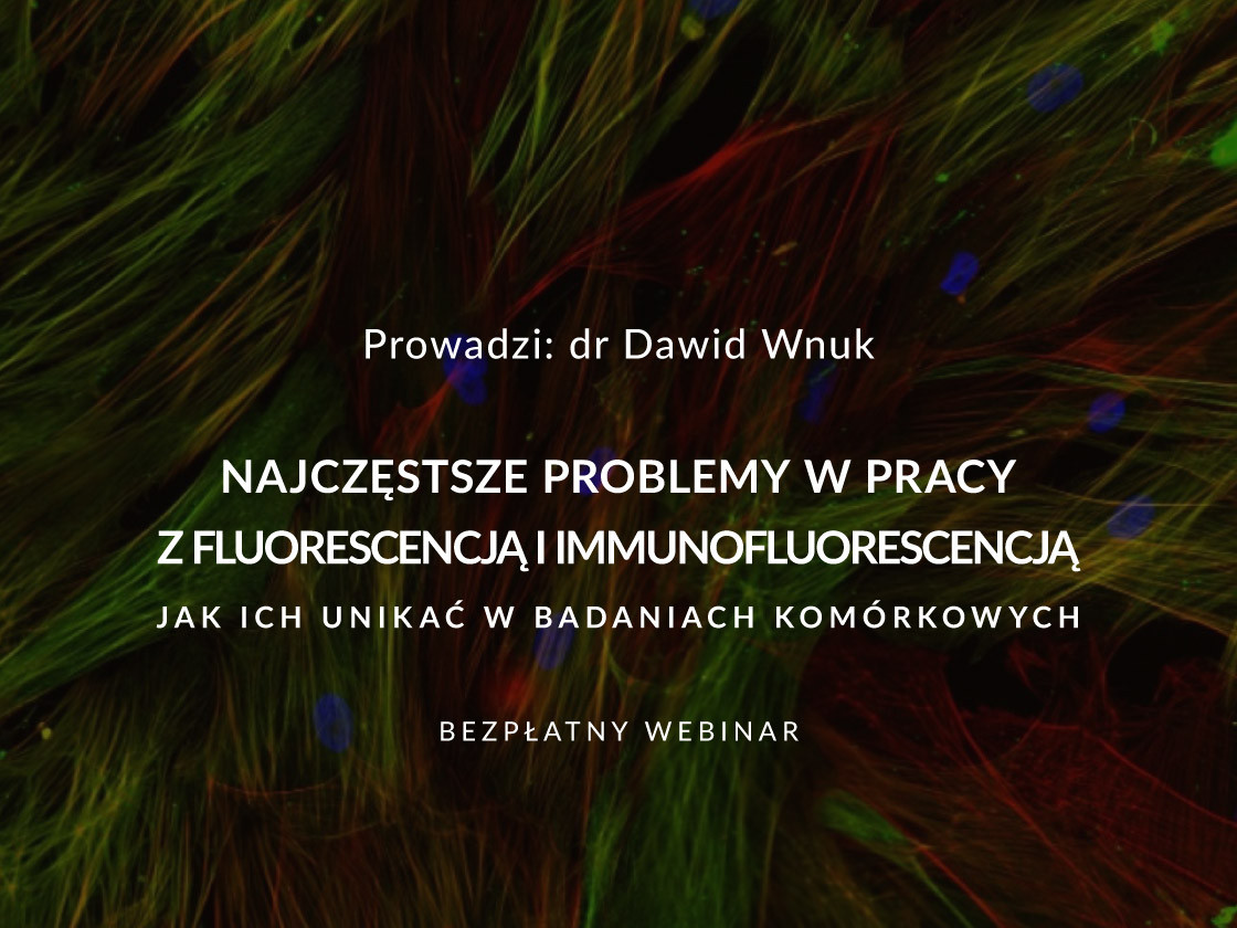 Najczęstsze