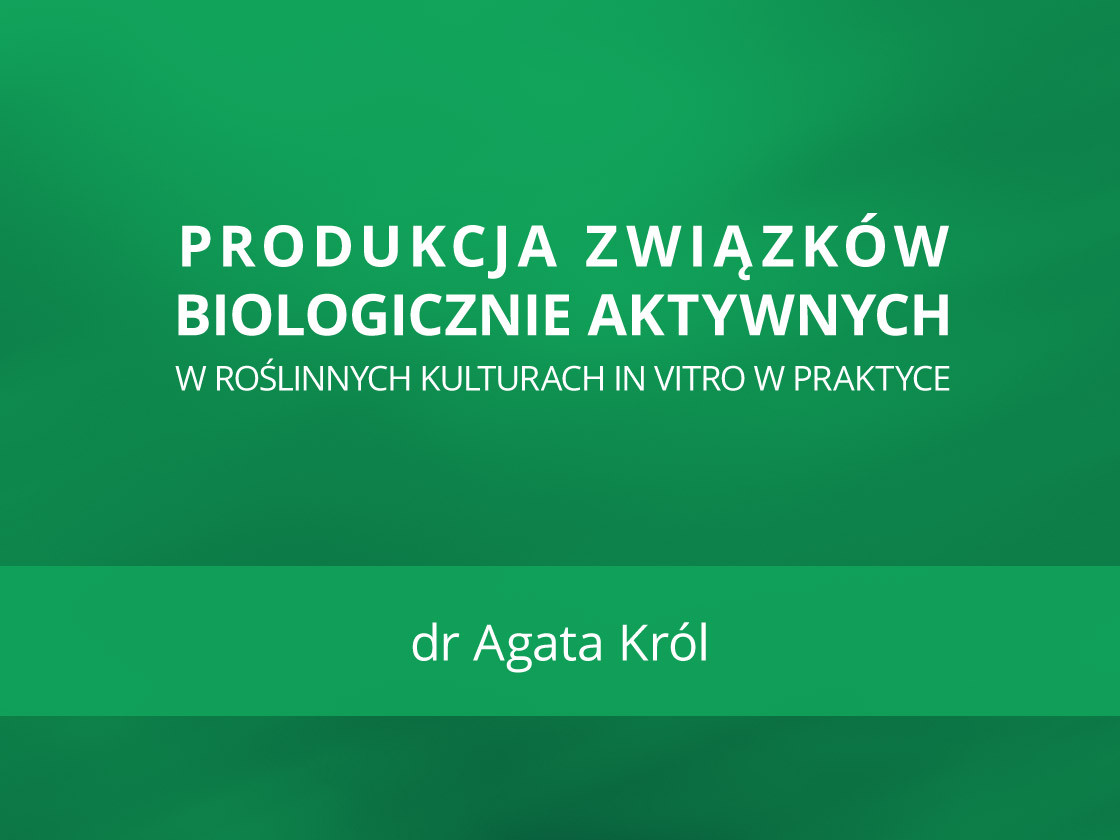 Produkcja